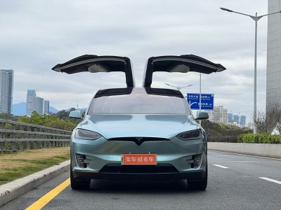 2019年5月 特斯拉 Model X Model X 100D 長(zhǎng)續(xù)航版圖片