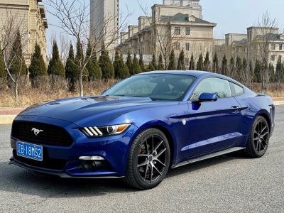 2015年11月 福特 Mustang(進(jìn)口) 2.3T 性能版圖片