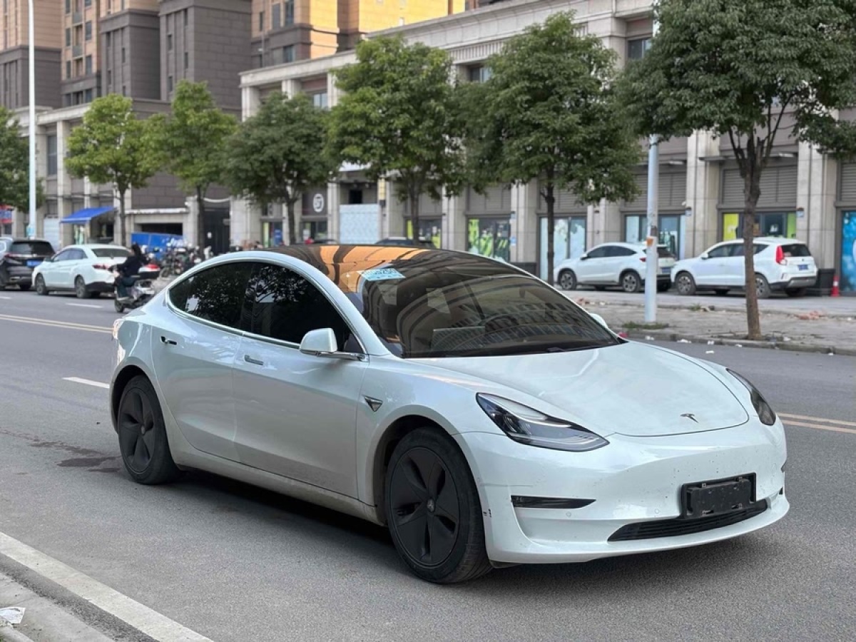 特斯拉 Model 3  2020款 改款 標(biāo)準(zhǔn)續(xù)航后驅(qū)升級(jí)版圖片
