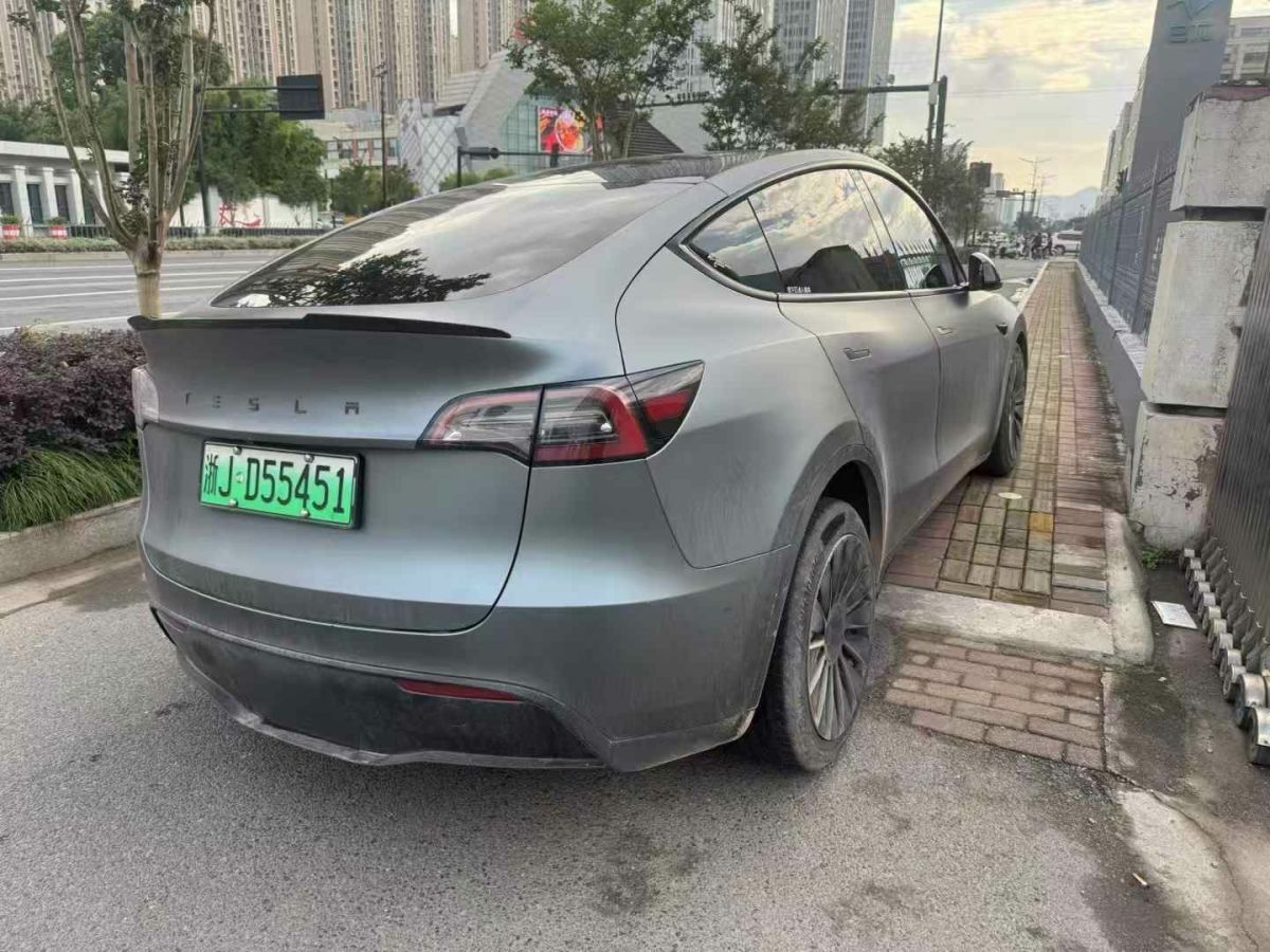 特斯拉 Model Y  2022款 Performance高性能全輪驅(qū)動(dòng)版圖片
