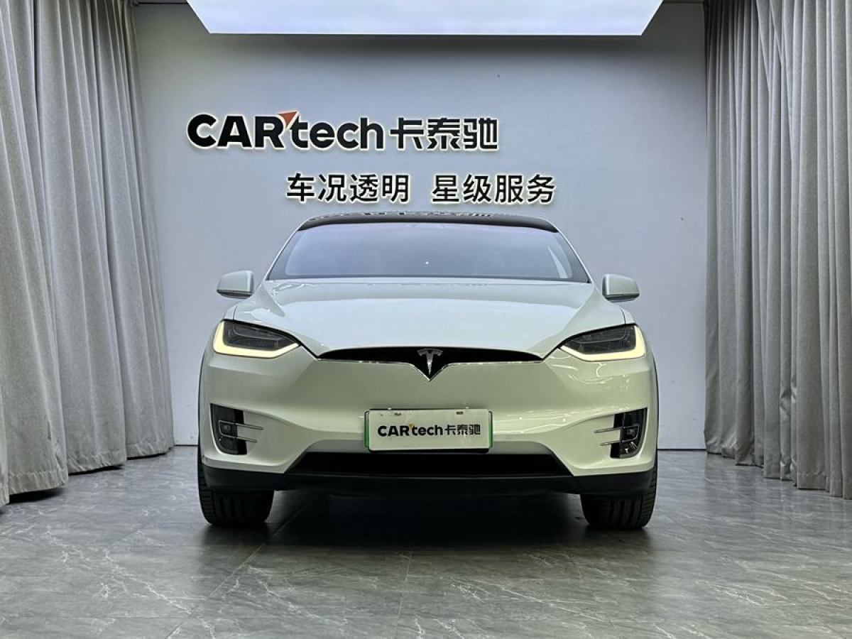 特斯拉 Model X  2020款 長(zhǎng)續(xù)航升級(jí)版圖片