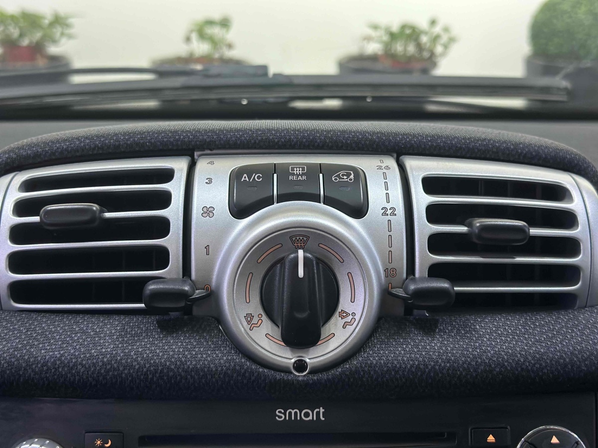 smart fortwo  2013款 1.0 MHD 新年特別版圖片