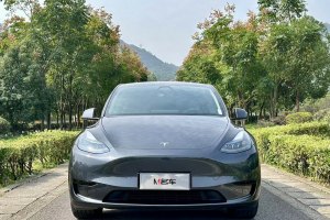 Model Y 特斯拉 改款 長(zhǎng)續(xù)航后輪驅(qū)動(dòng)版