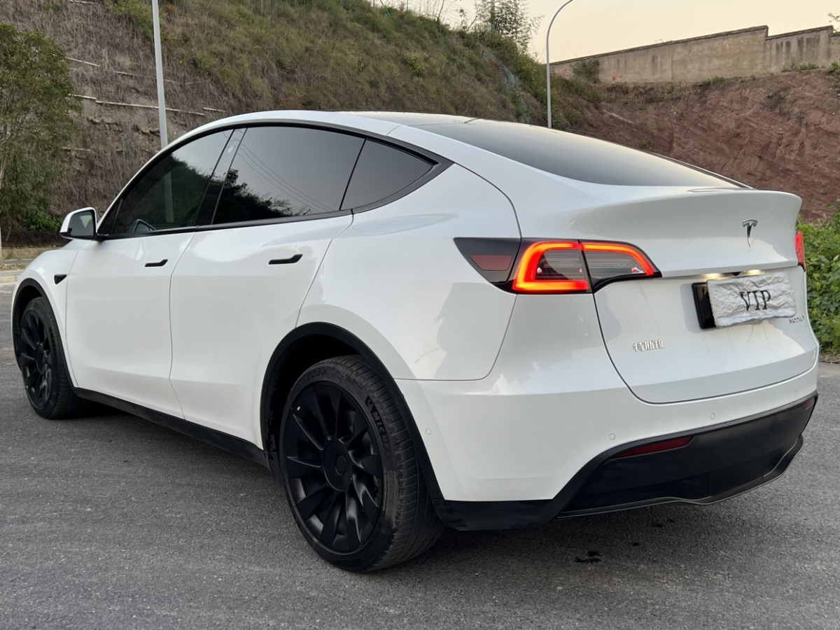 特斯拉 Model Y  2021款 長續(xù)航全輪驅動版圖片