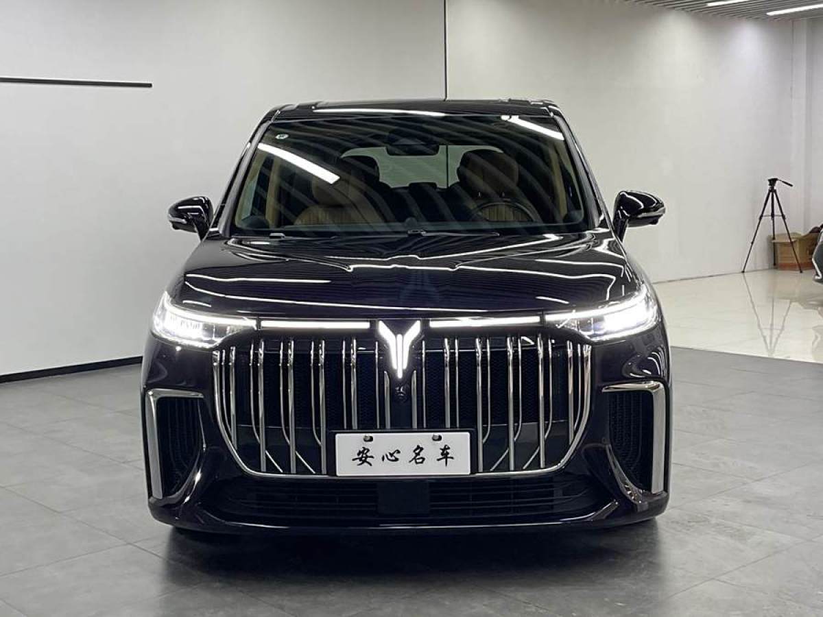 嵐圖 夢(mèng)想家  2024款 PHEV 超長(zhǎng)續(xù)航旗艦版圖片