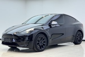 Model Y 特斯拉 后轮驱动版