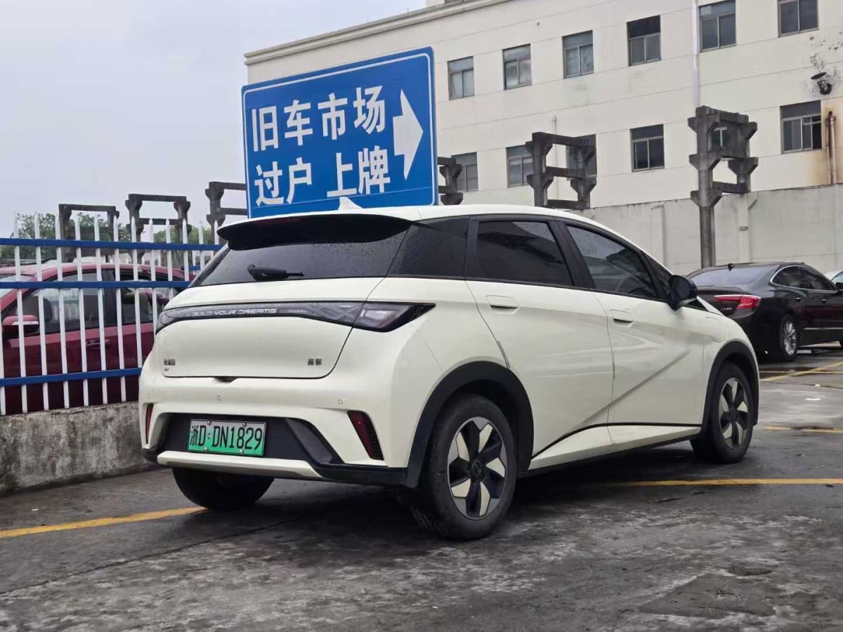 比亞迪 海豚  2024款 榮耀版 302km 活力版圖片