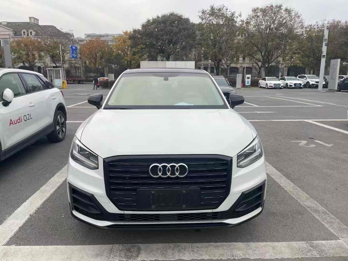 奧迪 奧迪Q2L  2021款 35 TFSI 進取動感型圖片