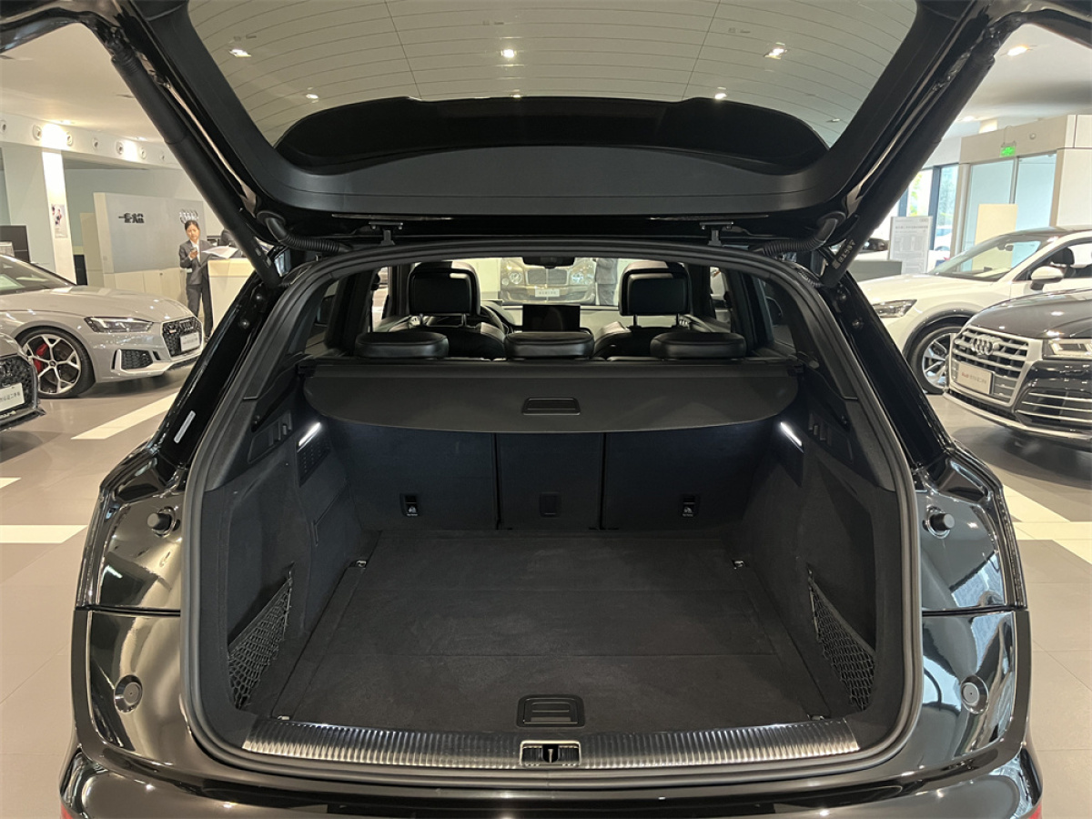 奧迪 奧迪SQ5  2014款 SQ5 3.0 TFSI quattro圖片