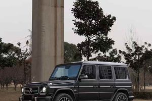 奔馳G級(jí)AMG 奔馳 AMG G 63 典藏版