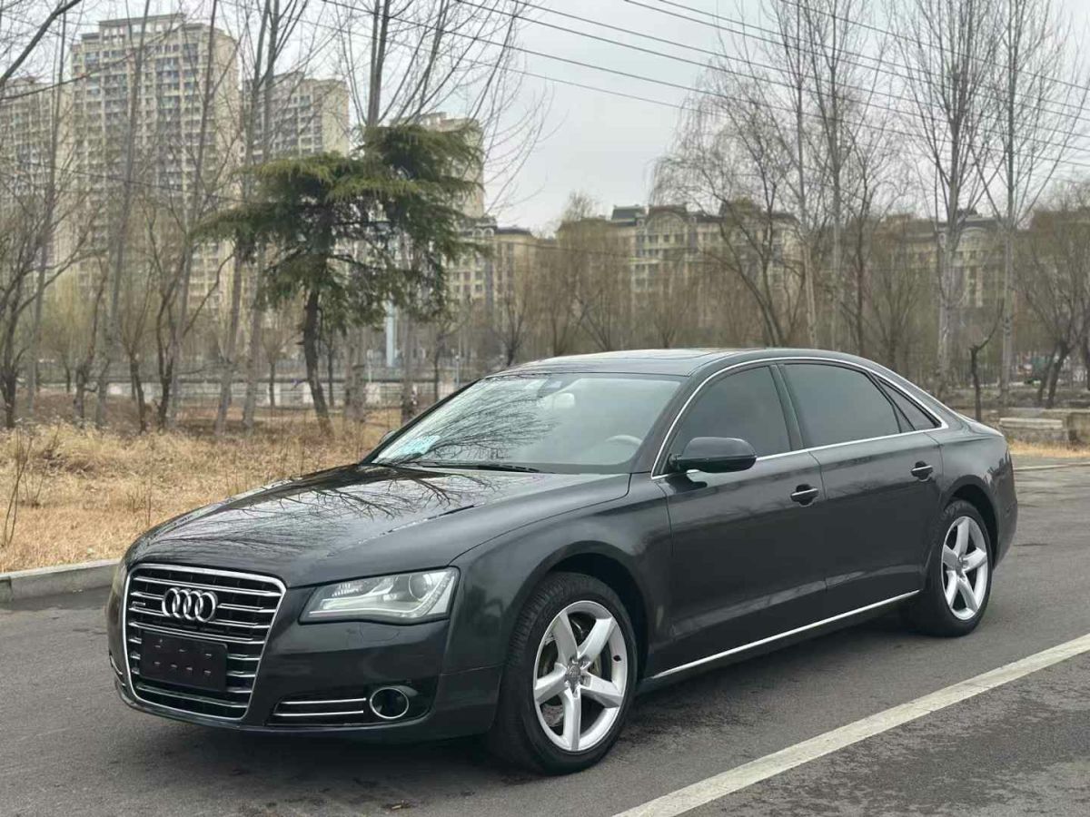 奧迪 奧迪A8  2011款 A8L W12 6.3 FSI quattro圖片