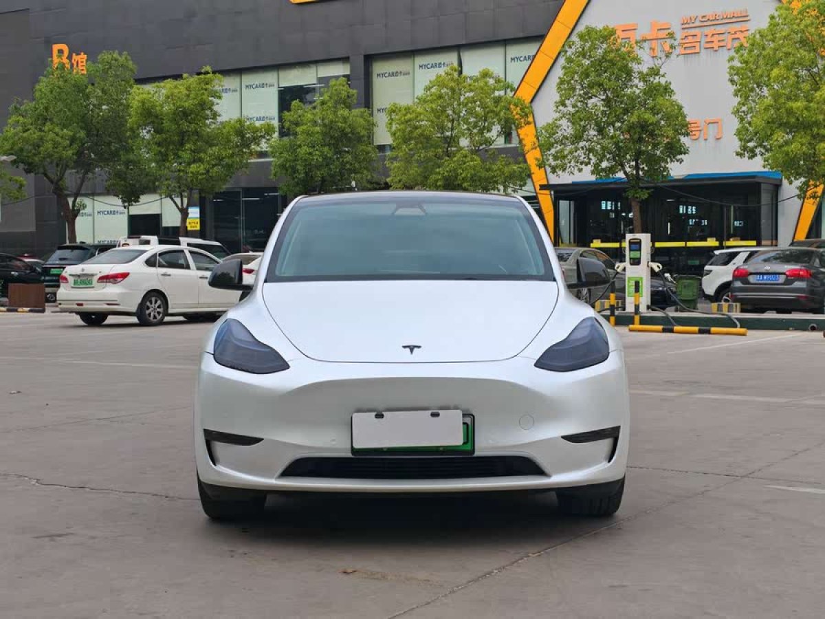 特斯拉 Model Y  2022款 改款 長(zhǎng)續(xù)航全輪驅(qū)動(dòng)版圖片