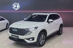 哈弗H6新能源 哈弗 DHT-PHEV 110KM 畅行版