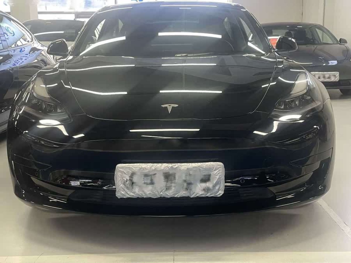 特斯拉 Model 3  2021款 改款 標(biāo)準(zhǔn)續(xù)航后驅(qū)升級(jí)版圖片