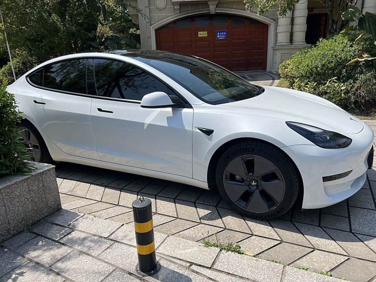 特斯拉 Model 3  2021款 改款 標準續(xù)航后驅(qū)升級版圖片