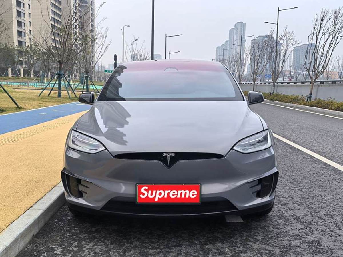 特斯拉 Model X  2019款 Performance 高性能版圖片