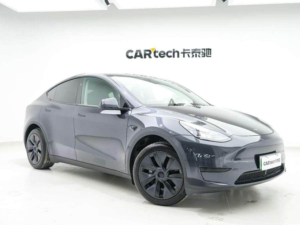 2024年5月特斯拉 Model Y  2020款 改款 長續(xù)航后輪驅(qū)動版