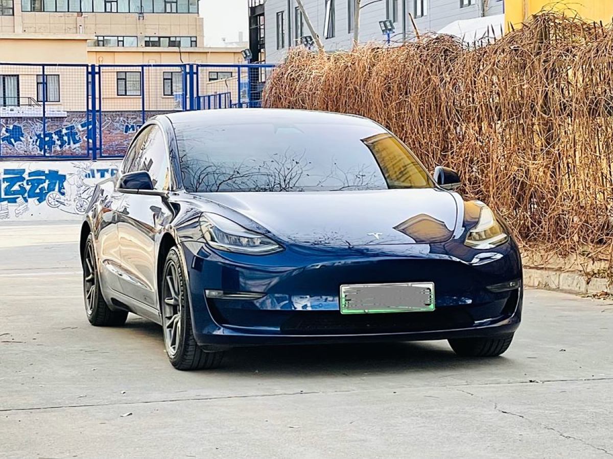 特斯拉 Model 3  2019款 長續(xù)航全輪驅(qū)動版圖片