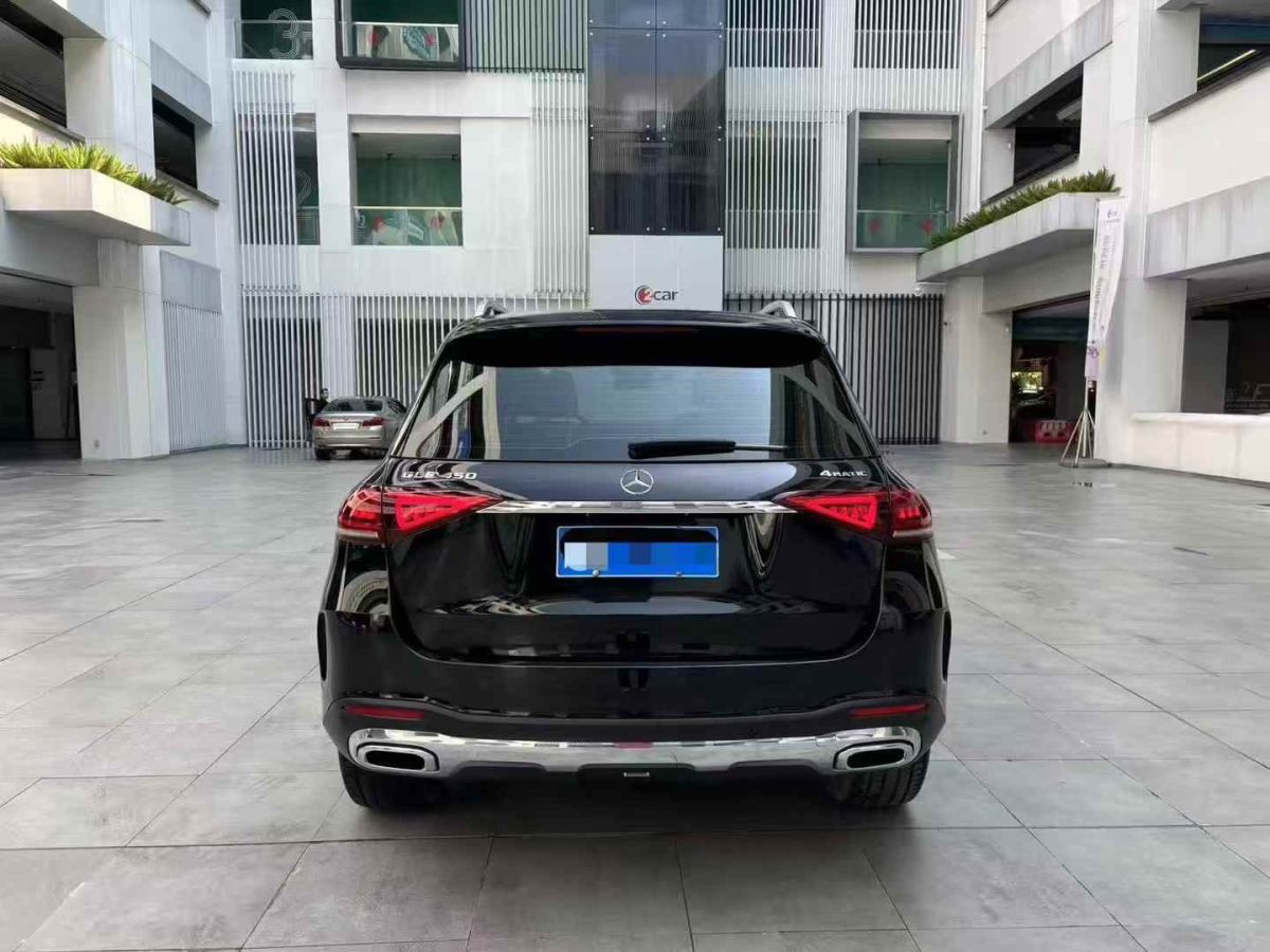 奔馳 V級(jí)  2020款 V 260 L 長(zhǎng)軸距豪華版圖片
