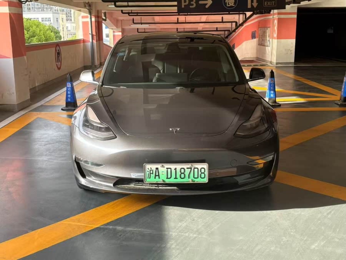 特斯拉 Model 3  2019款 長續(xù)航后驅(qū)版圖片