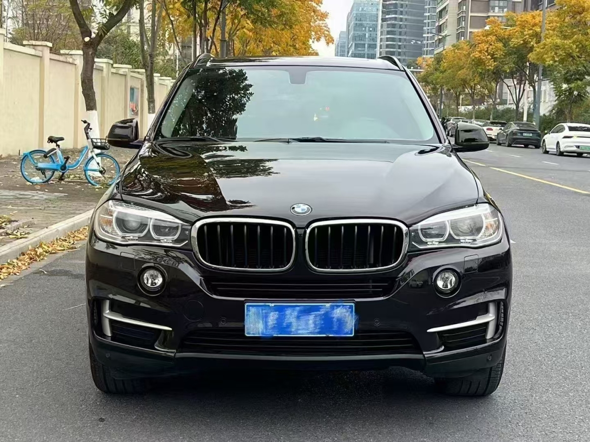 寶馬 寶馬X5  2014款 xDrive35i 典雅型圖片