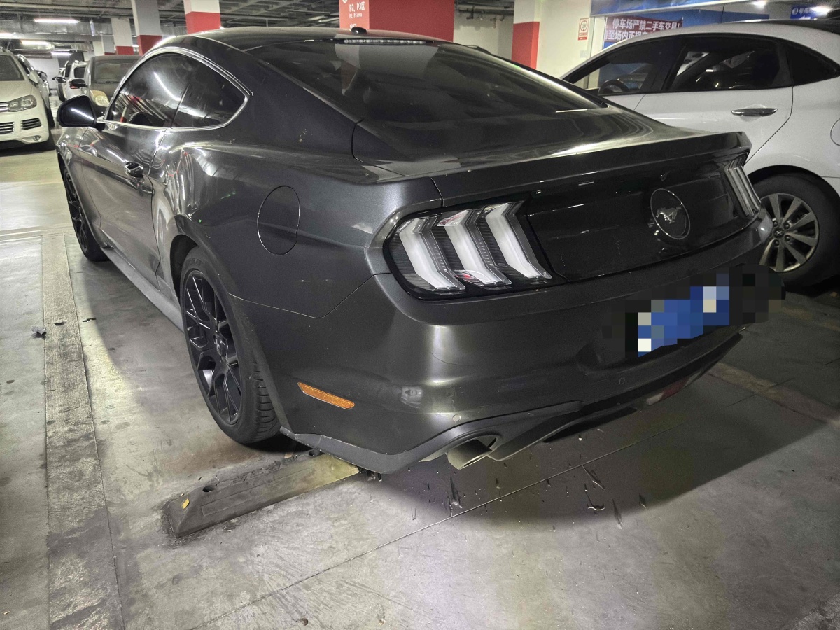 福特 Mustang  2019款 2.3L EcoBoost圖片