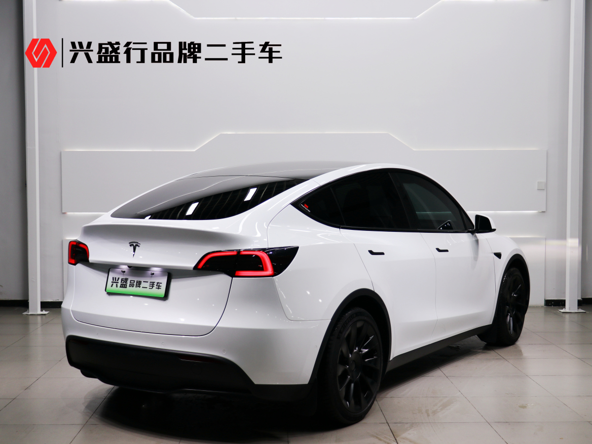 2023年3月特斯拉 Model Y  2020款 改款 長續(xù)航后輪驅(qū)動版