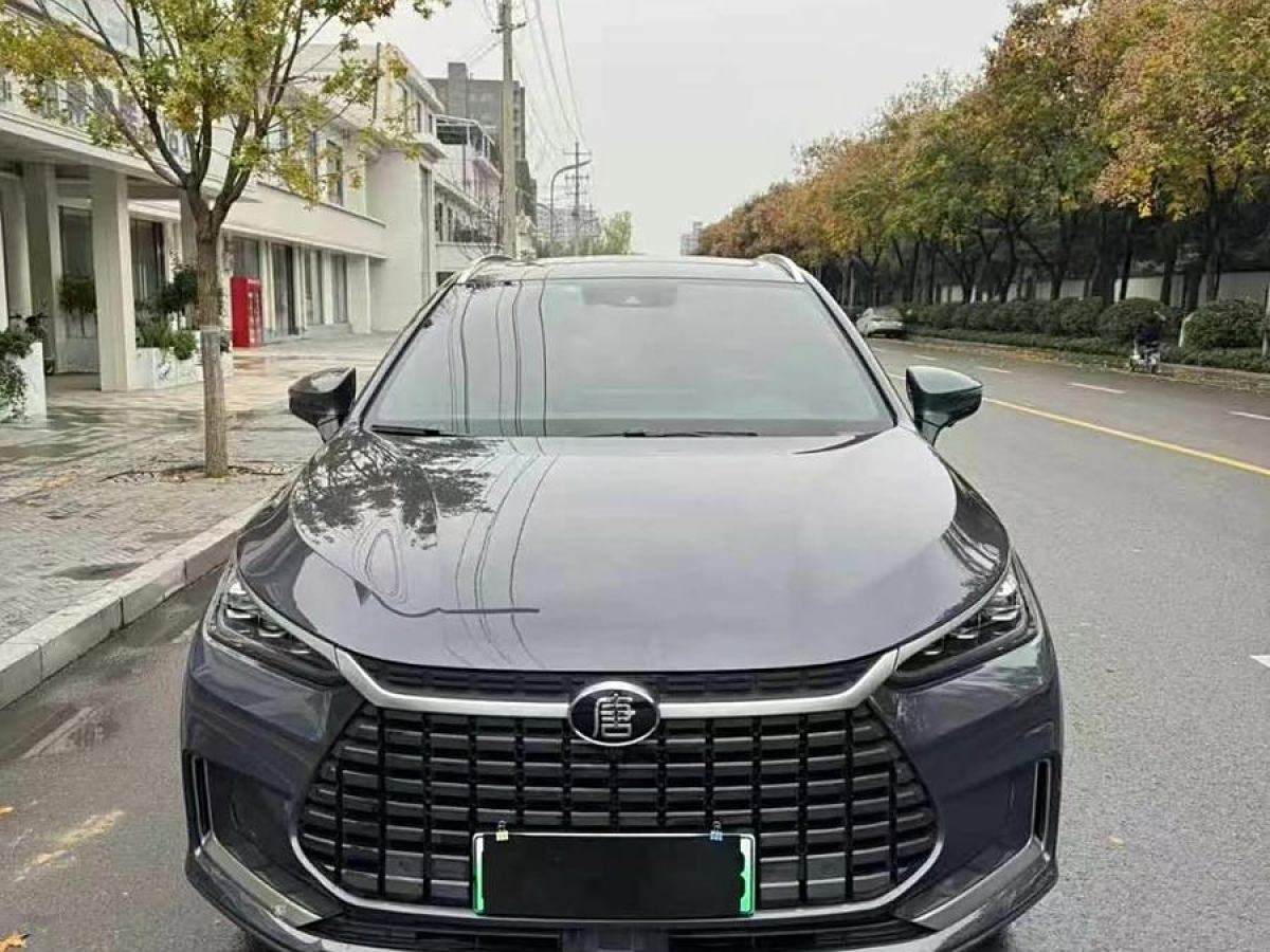 比亞迪 唐新能源  2021款 EV 四驅(qū)高性能版尊榮型圖片