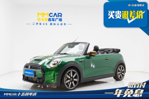 MINI MINI 2.0T COOPER S CABRIO 艺术家