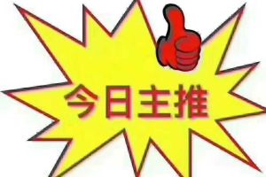 寶馬5系 寶馬 530Le 2.0T 豪華套裝