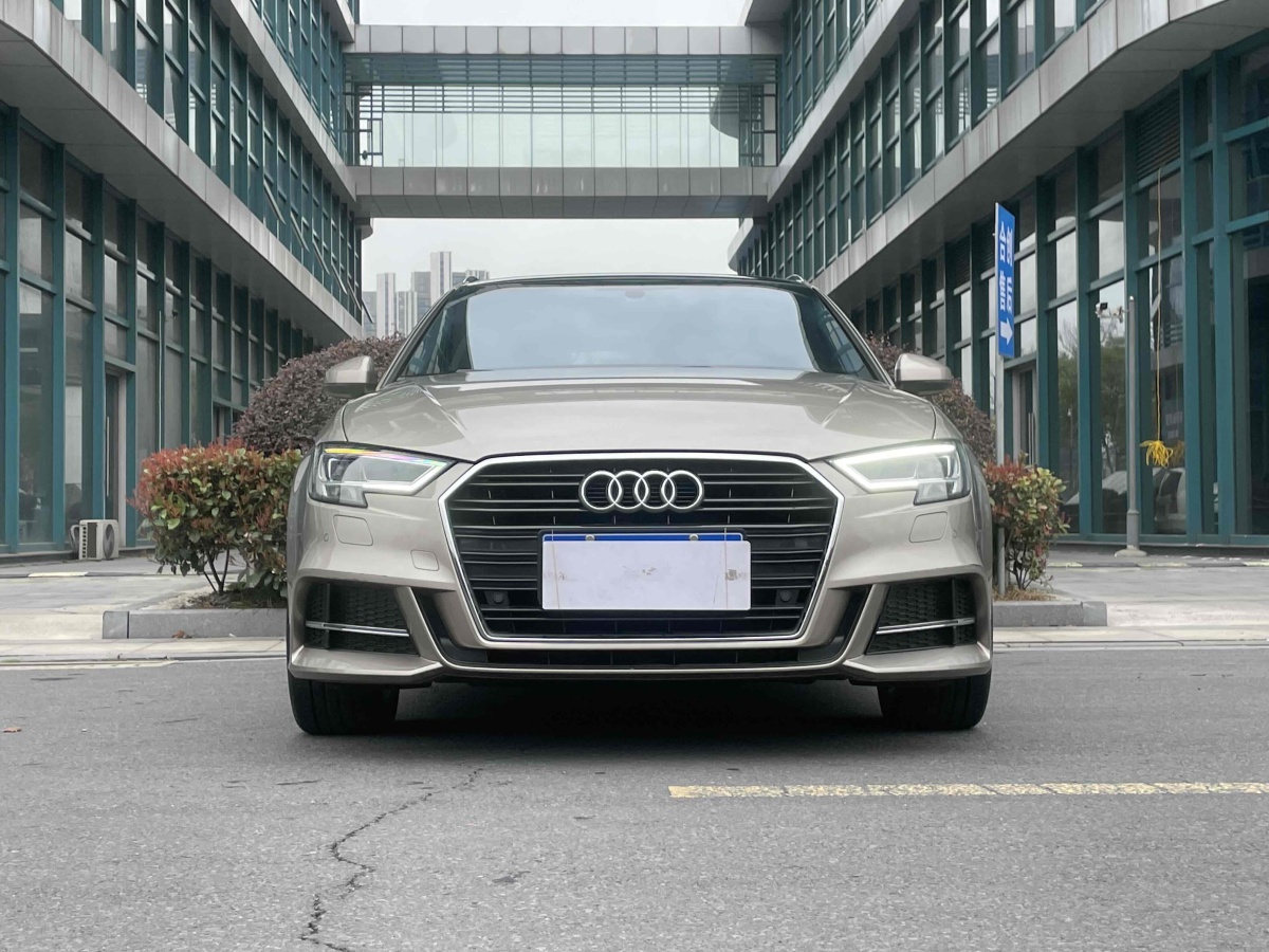 奧迪 奧迪A3  2019款 Sportback 35 TFSI 時(shí)尚型 國VI圖片