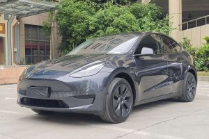 Model Y 特斯拉 后輪驅動版
