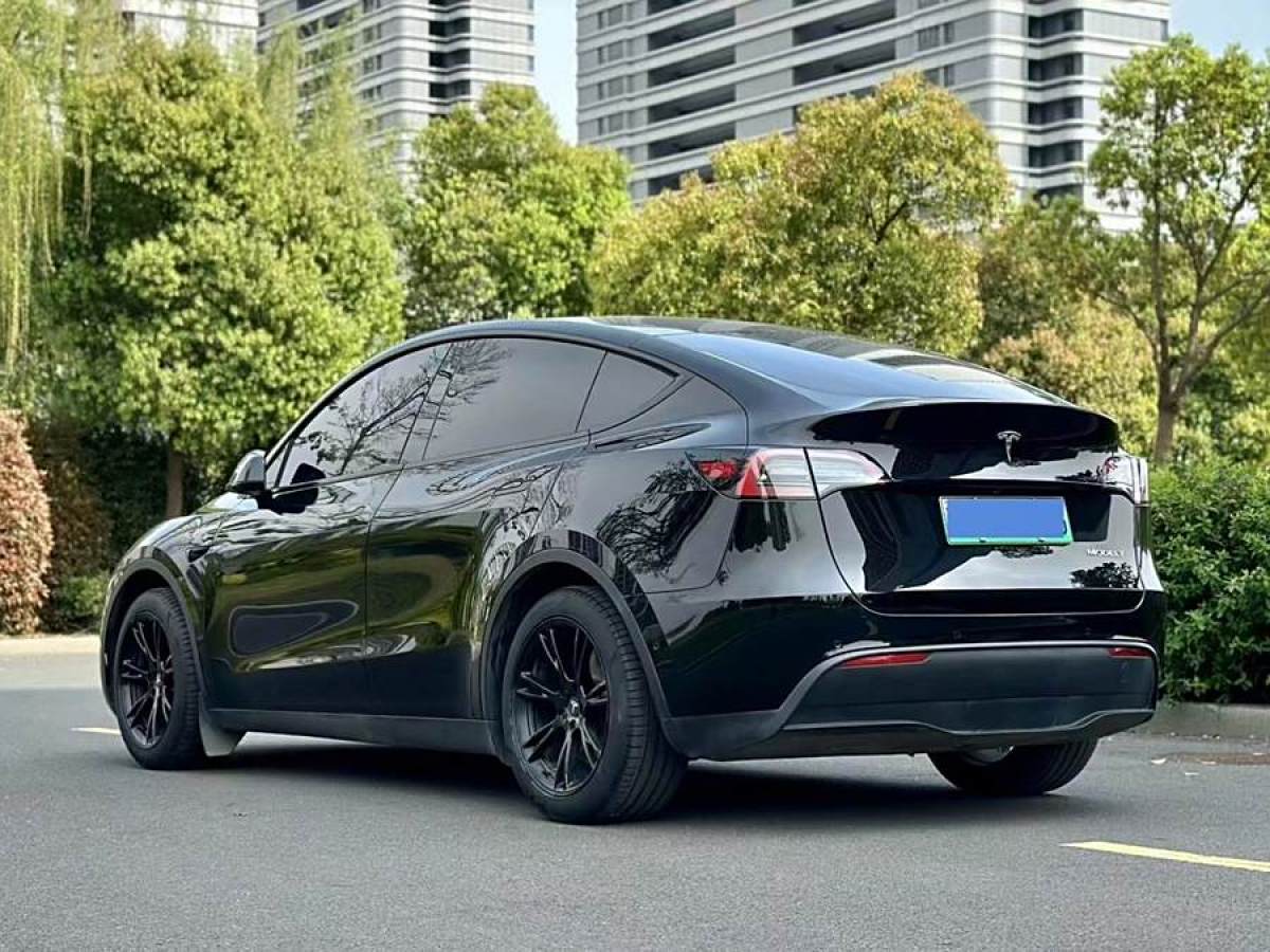 特斯拉 Model Y  2020款 改款 長續(xù)航后輪驅(qū)動版圖片