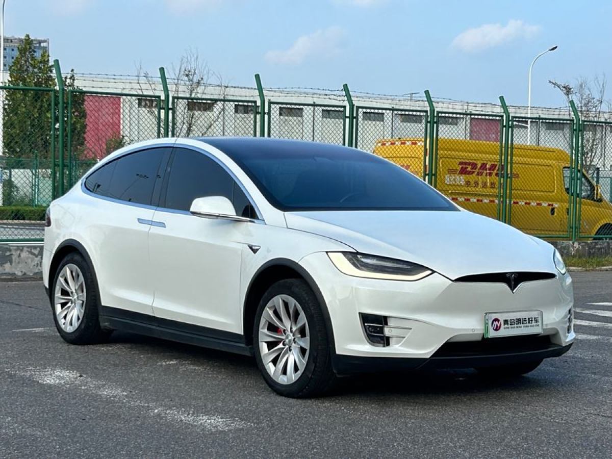 特斯拉 Model X  2019款 Performance 高性能版圖片