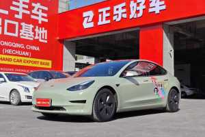 Model 3 特斯拉 改款 標(biāo)準(zhǔn)續(xù)航后驅(qū)升級(jí)版