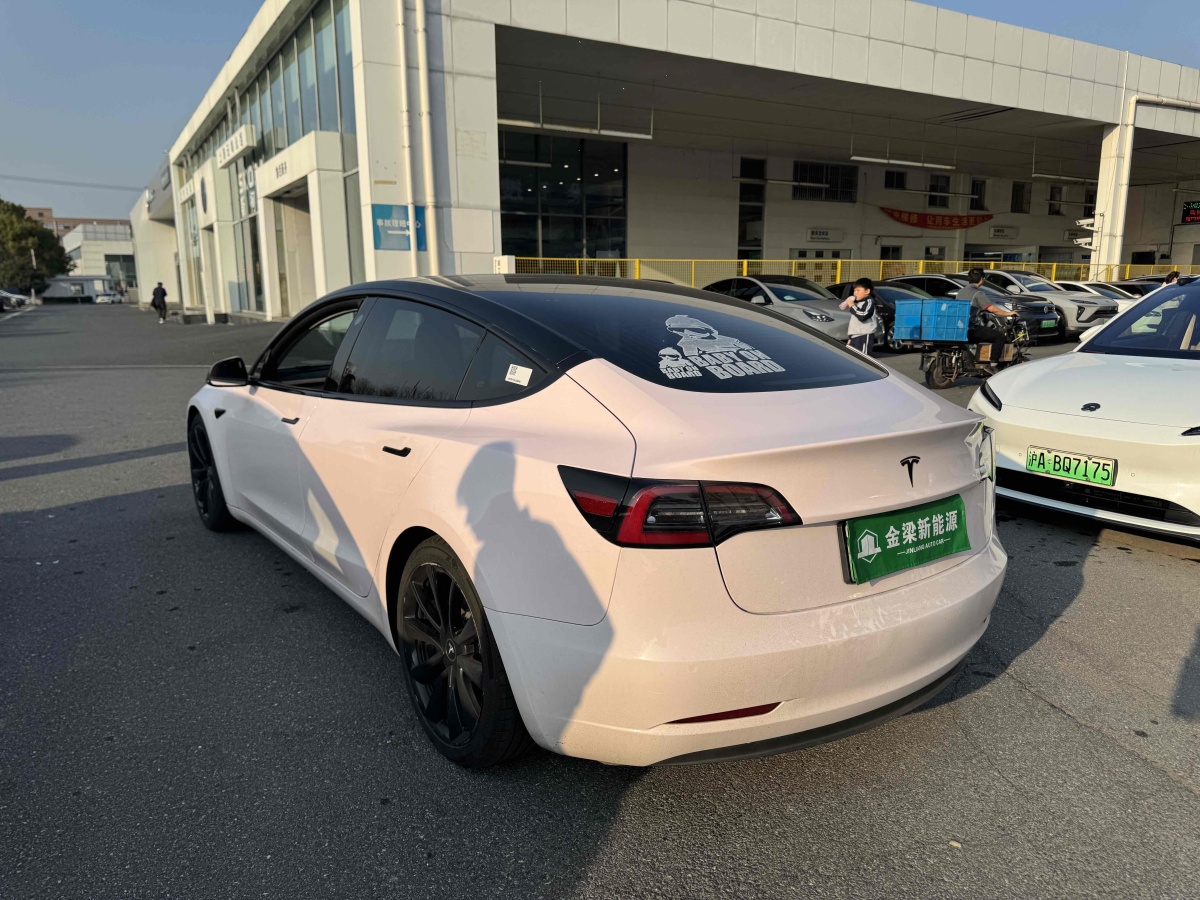 特斯拉 Model 3  2020款 改款 長(zhǎng)續(xù)航后輪驅(qū)動(dòng)版圖片