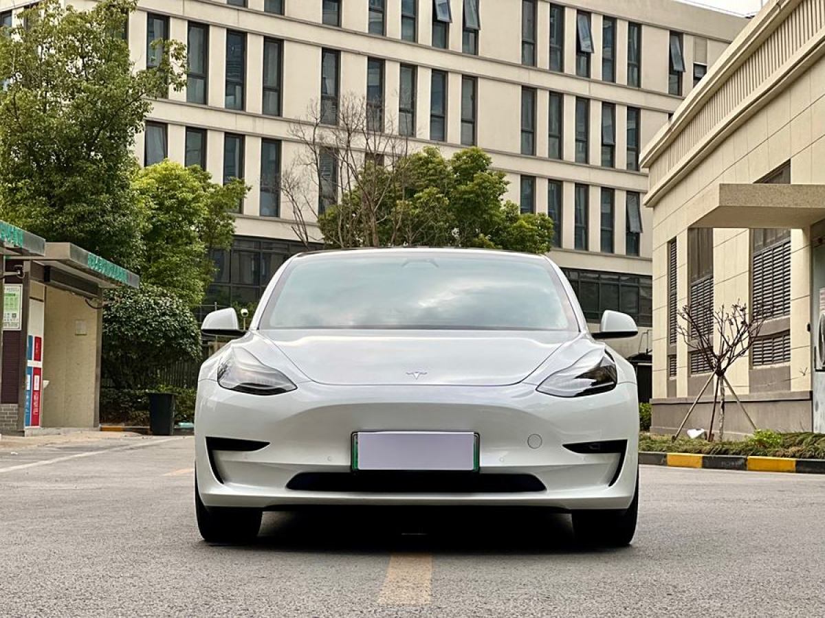 2021年2月特斯拉 Model 3  2021款 改款 標(biāo)準(zhǔn)續(xù)航后驅(qū)升級(jí)版