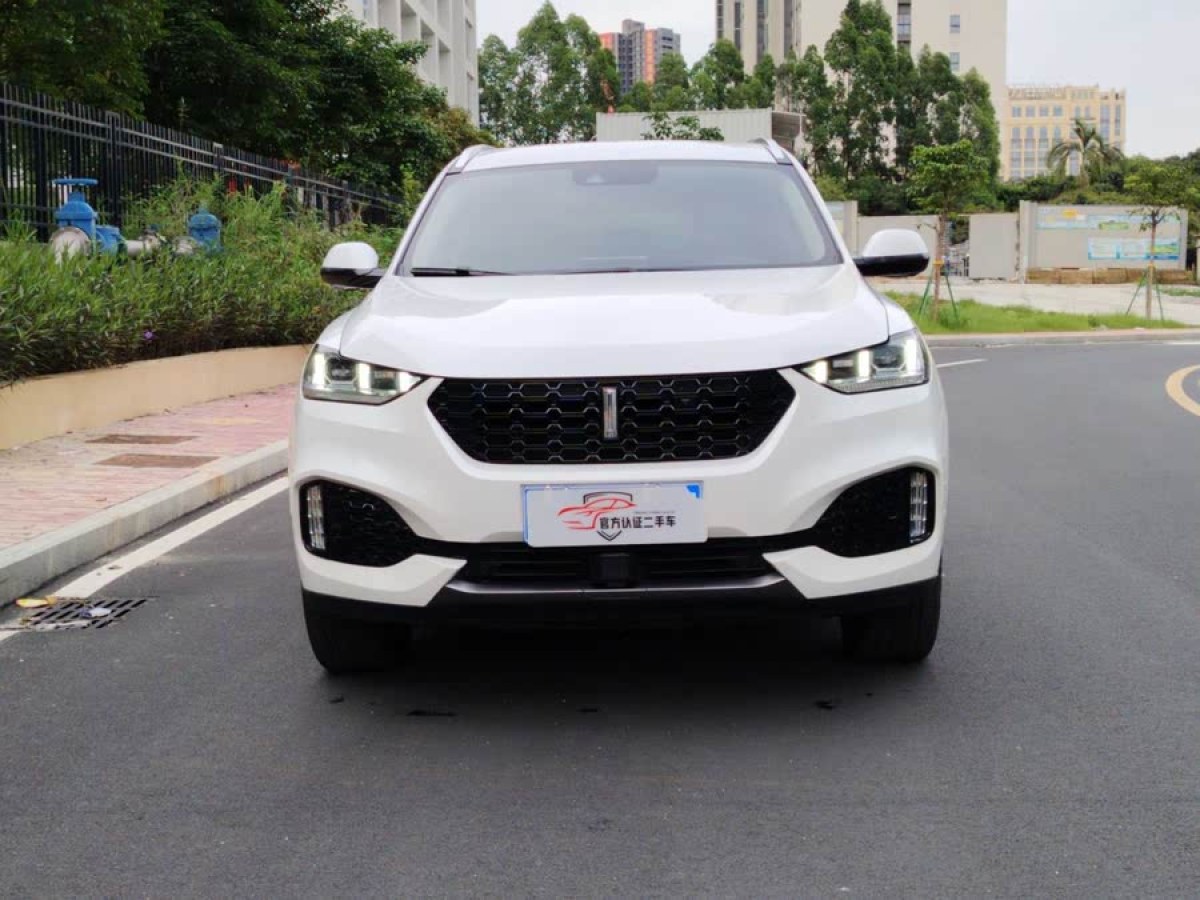 WEY VV5  2019款  升級(jí)款 2.0T 兩驅(qū)超豪型 國(guó)VI圖片