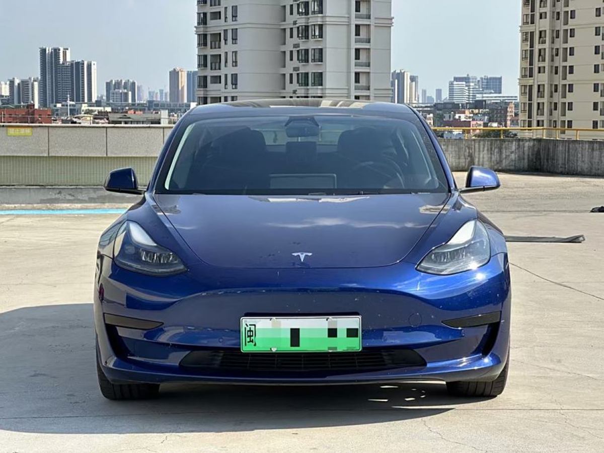 特斯拉 Model 3  2021款 改款 標(biāo)準(zhǔn)續(xù)航后驅(qū)升級(jí)版圖片