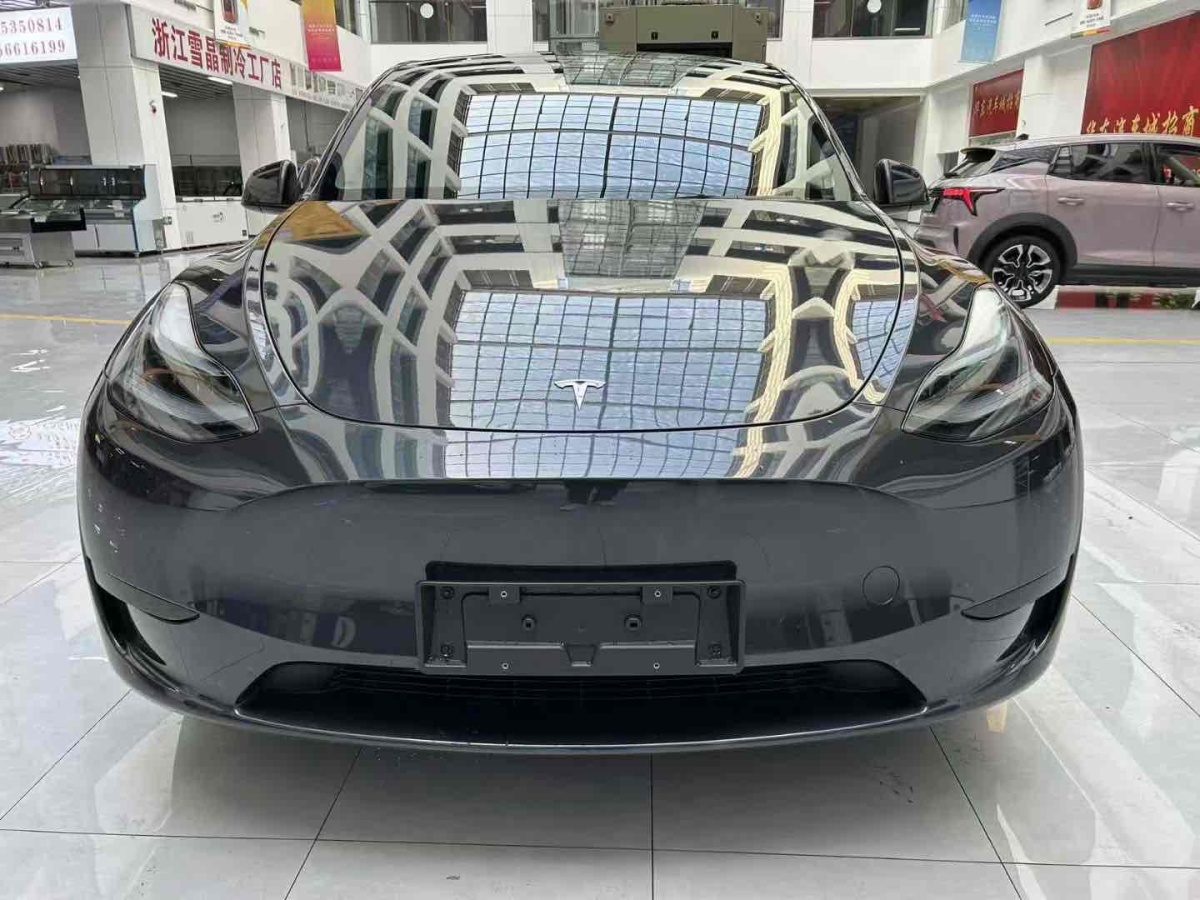 特斯拉 Model Y  2020款 改款 長續(xù)航后輪驅(qū)動版圖片