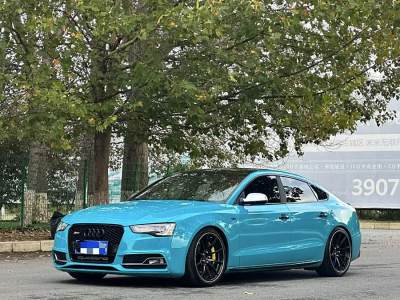 2014年3月 奧迪 奧迪S5(進(jìn)口) S5 3.0T Sportback圖片