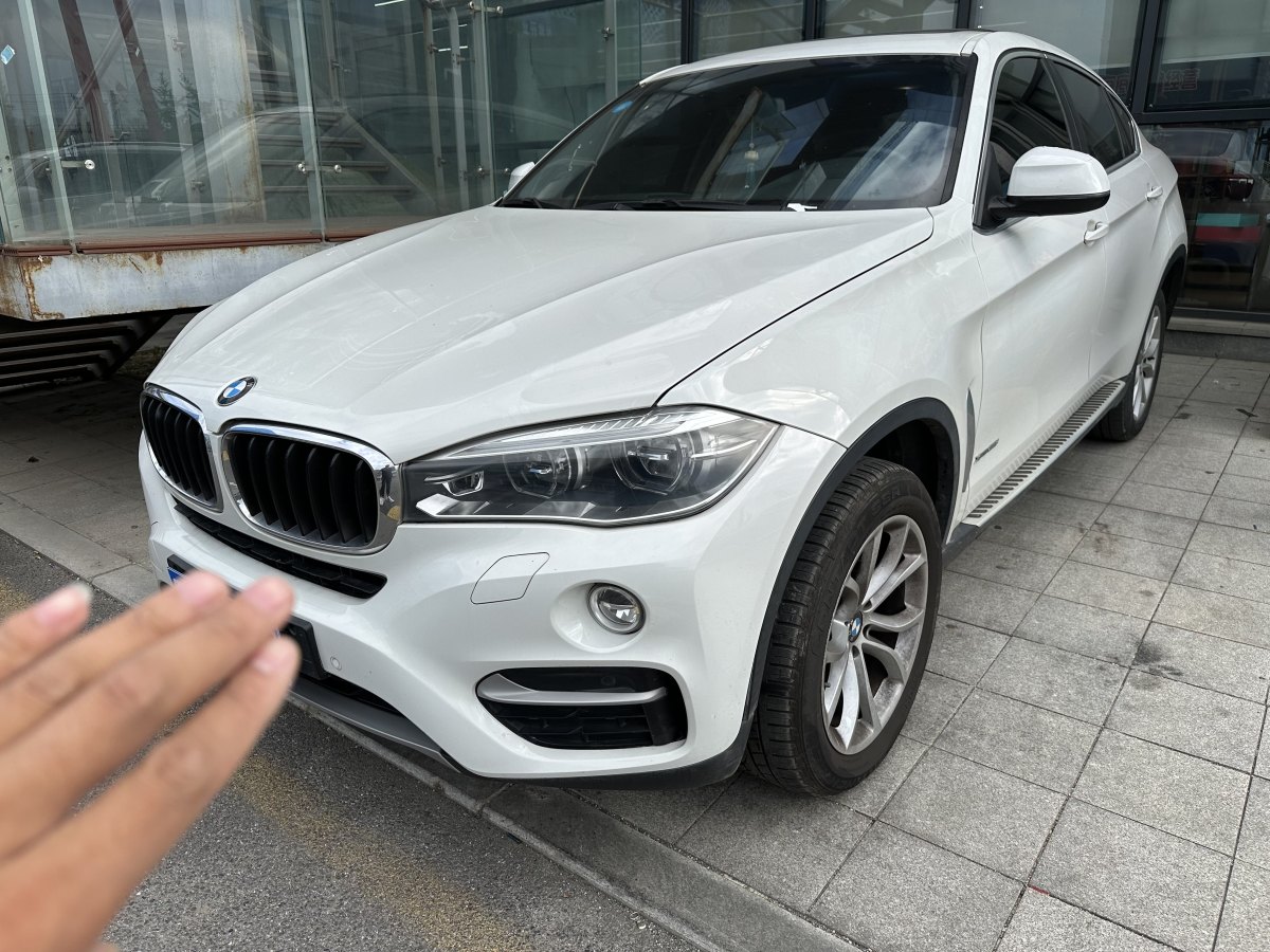 寶馬 寶馬X6  2018款 xDrive35i 領(lǐng)先型圖片