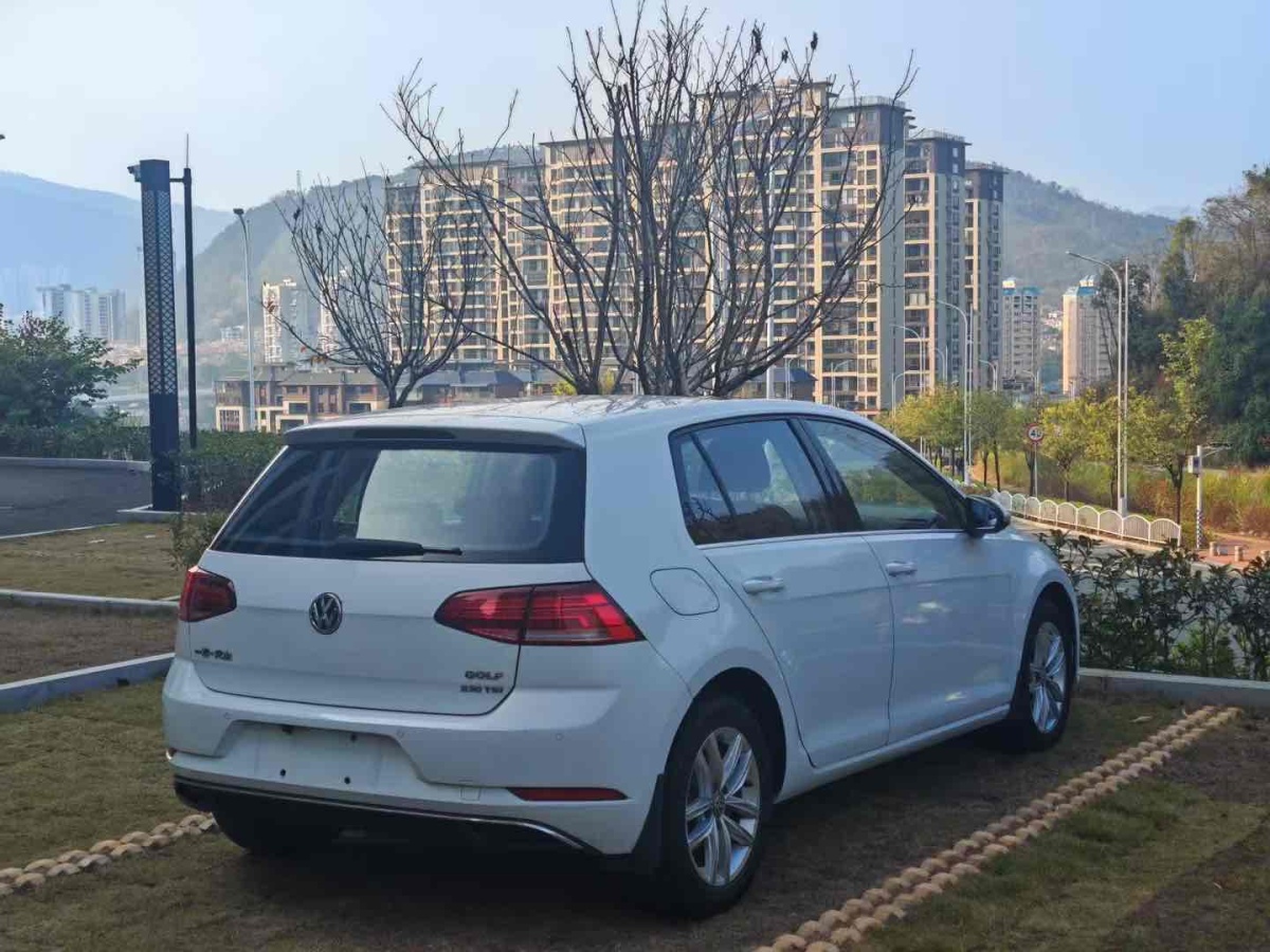 大眾 高爾夫  2018款 230TSI 自動(dòng)舒適型圖片