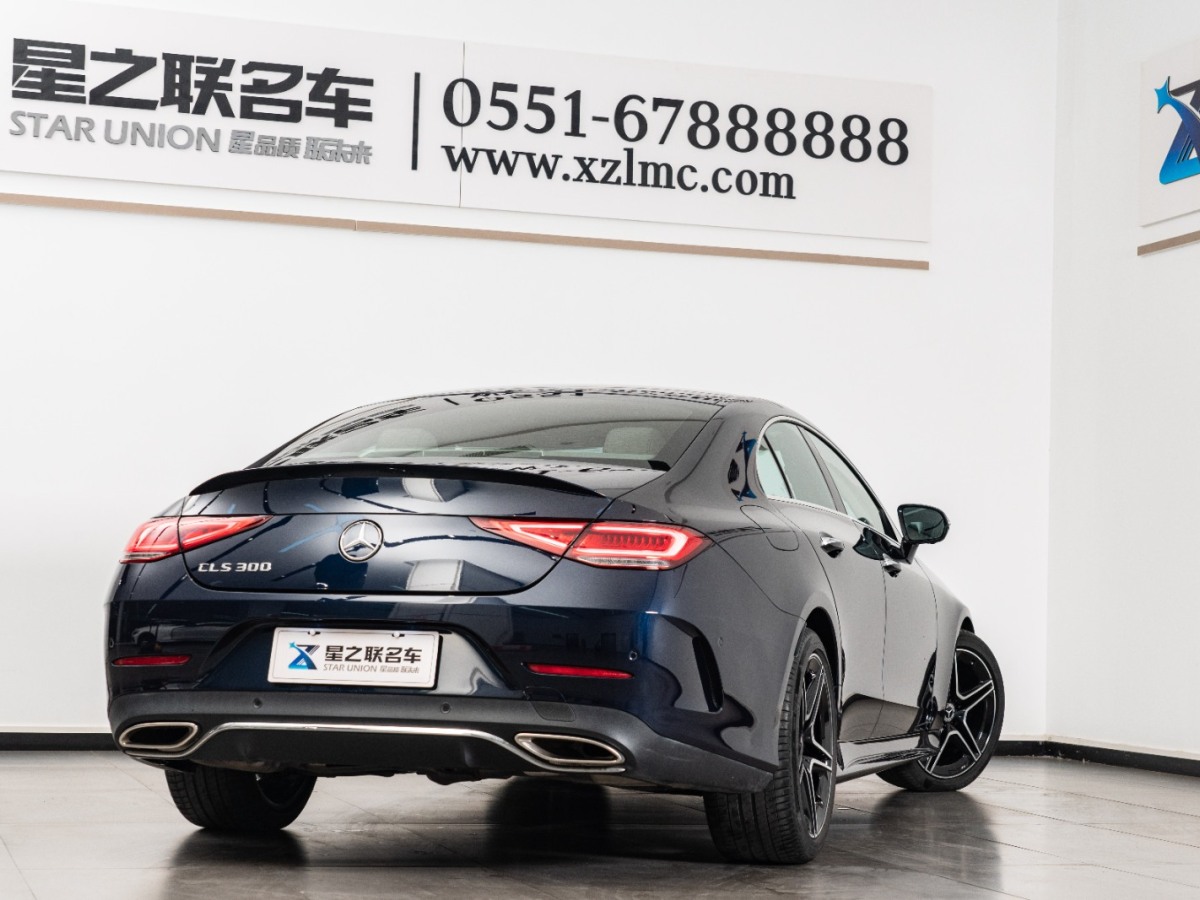 奔馳 奔馳CLS級  2021款 CLS 300 豪華型圖片