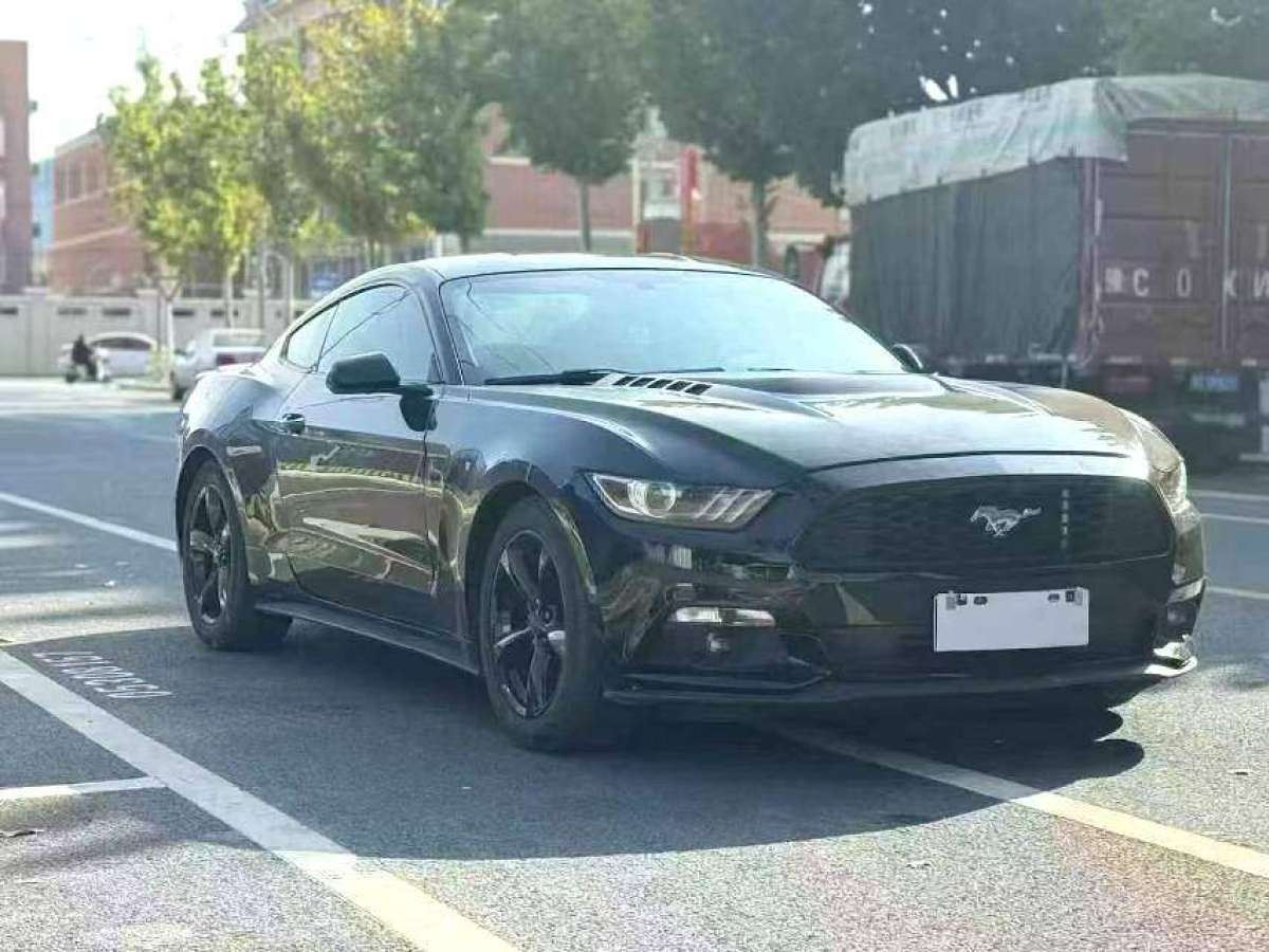 福特 Mustang  2015款 2.3T 性能版圖片