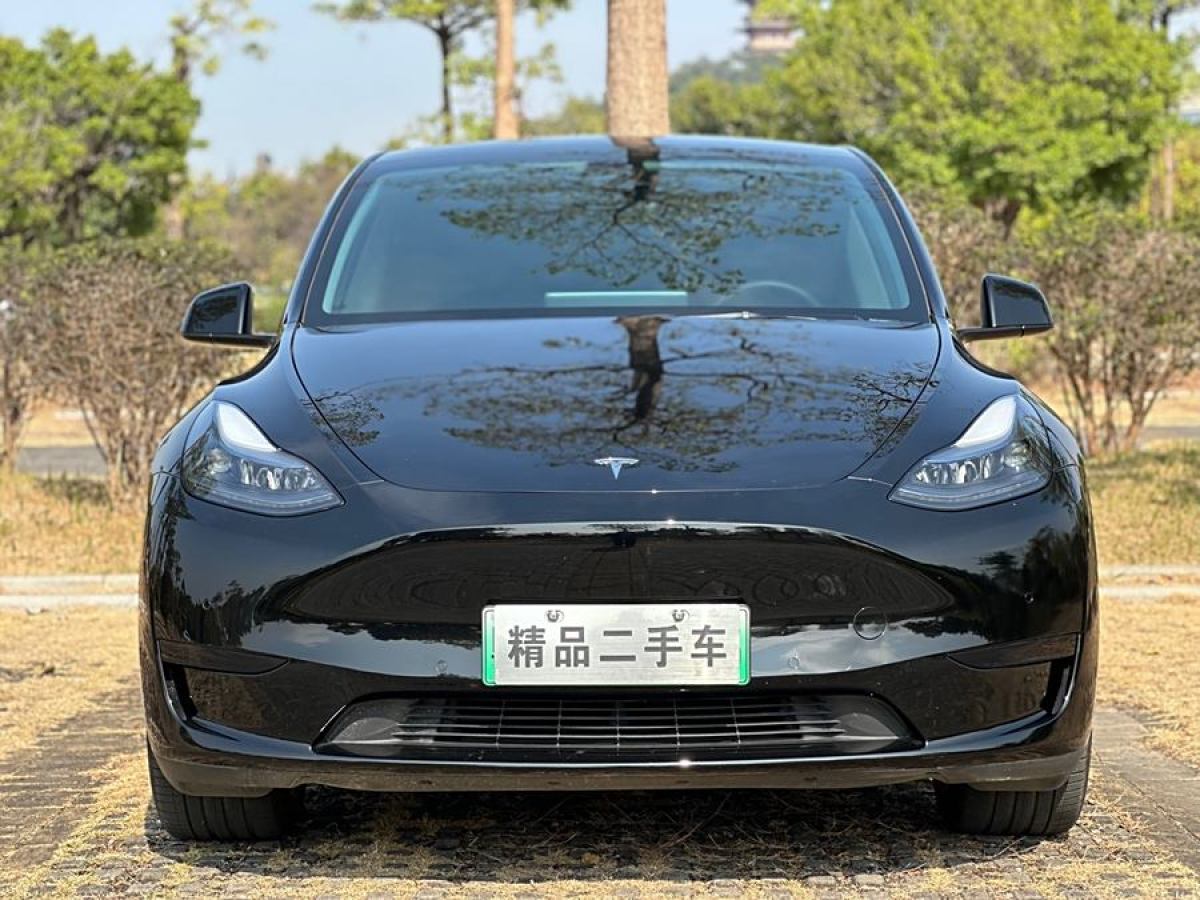 特斯拉 Model 3  2020款 改款 長續(xù)航后輪驅(qū)動版圖片