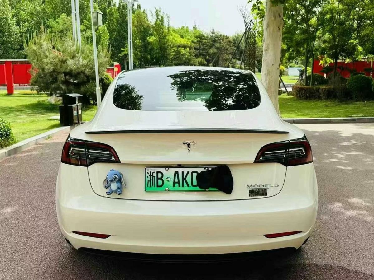 特斯拉 Model S  2021款 Performance 高性能版圖片