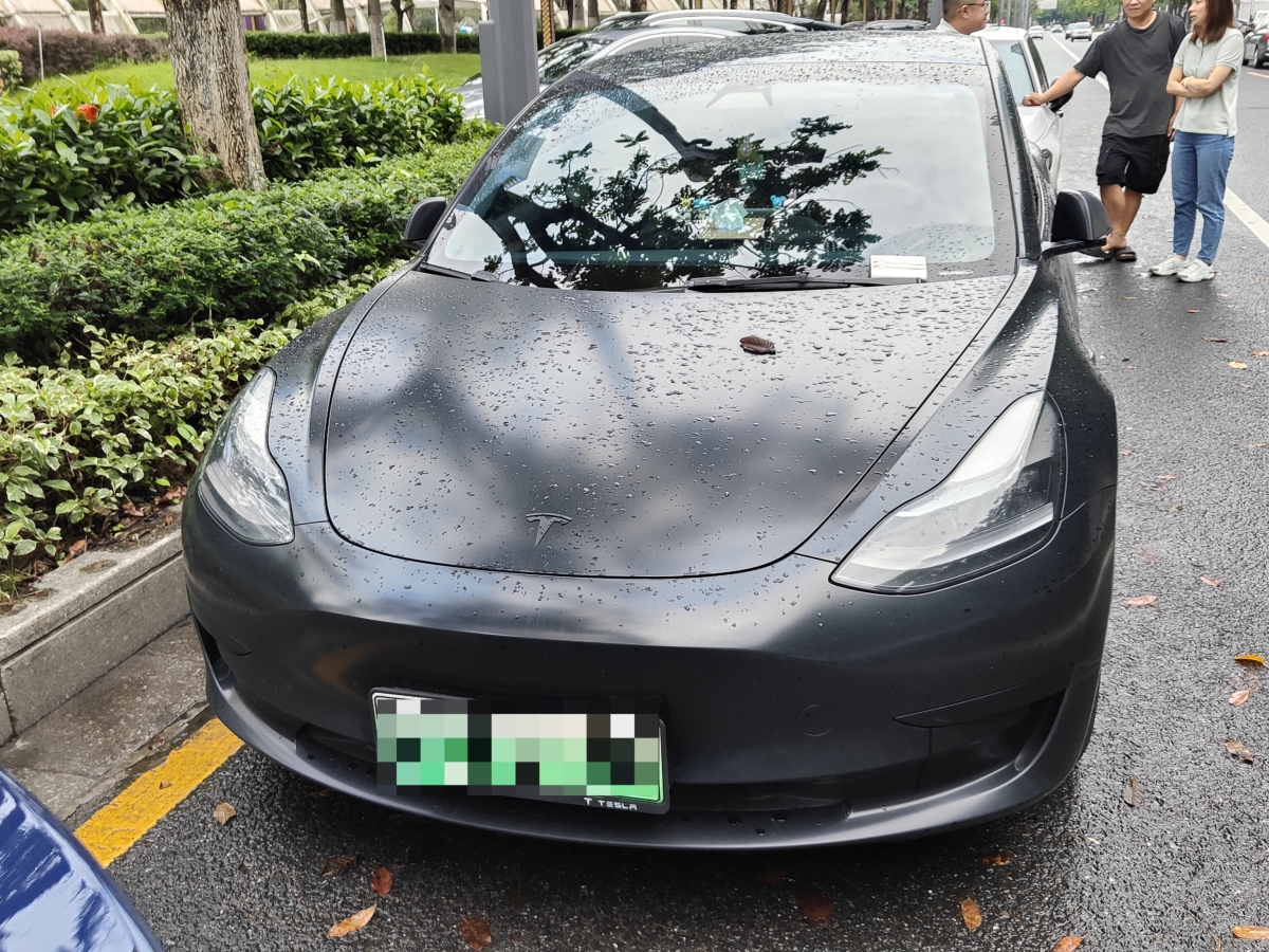 特斯拉 Model 3  2021款 標(biāo)準(zhǔn)續(xù)航后驅(qū)升級版 3D6圖片