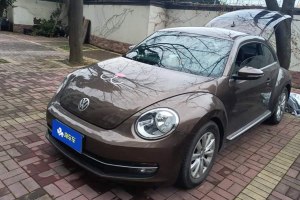 甲殼蟲(chóng) 大眾 180TSI