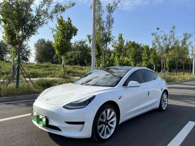 2020年3月 特斯拉 Model 3 标准续航后驱升级版图片